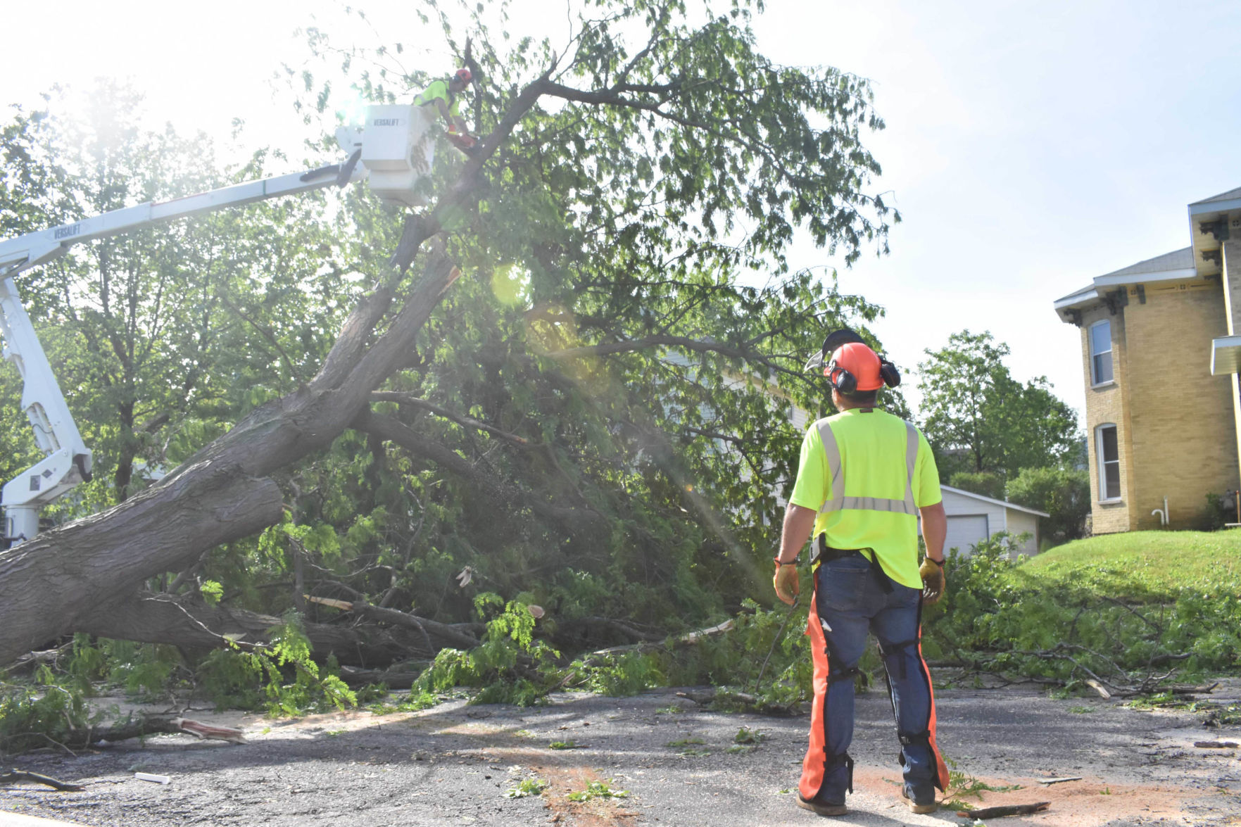 Downed tree at East Pleasant St